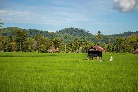 Rice hut Stock Photos