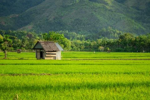 Rice hut Stock Photos