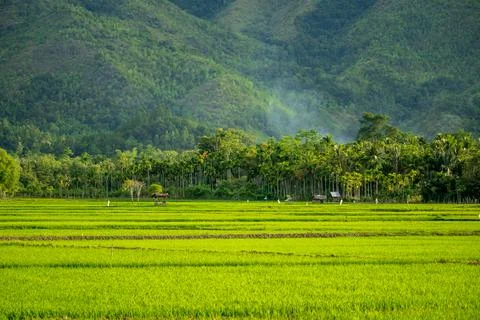 Rice hut Stock Photos