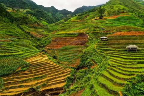 Rice Huts (HiGang loop) Stock Photos