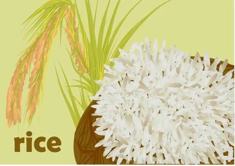 Rice Stock Illustration