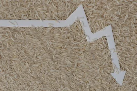 Rice import. Decrease in imports of rice and grain crops. World food crisis 库存照片