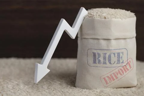 Rice import. Decrease in imports of rice and grain crops. World food crisis Stock Photos