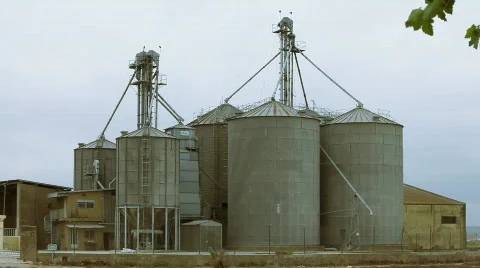 Rice industry Vidéo 789981