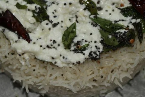 Rice made up of curd Stock Photos