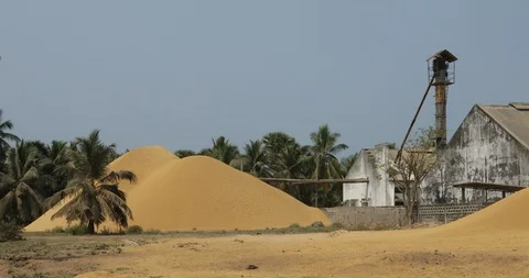 Rice mill exterior Stock Footage 89536272