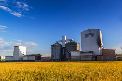 Rice mill Stock Photos