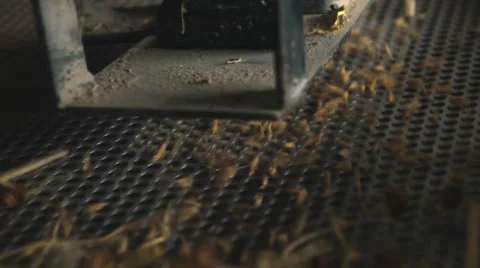 Rice milling machine Stock Footage 60608528