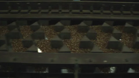 Rice milling machine Stock Footage 60608579
