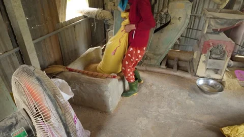 Rice milling process in Hoa Bac commune – Da Nang, Vietnam – 2025/04/25 Stock Footage 307654750