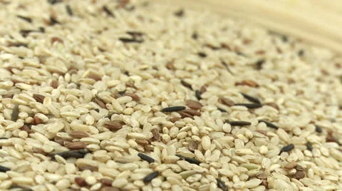 Rice mix 2 Stock Footage 23302002