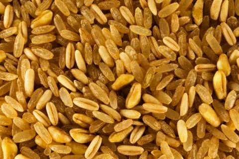 Rice mix Stock Photos