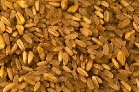 Rice mix Stock Photos