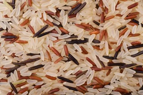 Rice mix Stock Photos