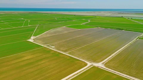 Rice paddies and irrigation network near Mediterranean coast in Ebro Delta Stock Footage 339794761