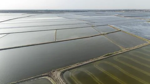 Rice paddies creating abstract patterns in La Puebla del Rio, Spain Stock Photos
