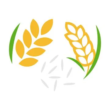 Rice paddy and grain vector illustration isolated on white background Illustrazione stock