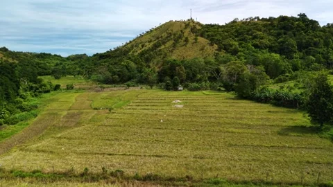 Rice Paddy Field Below Hilltop Tower in Coron Vídeo Stock 335519384
