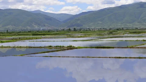 Rice paddy fields - hd1080i timelapse, water filled rice fields parcels ready Video stock 24157175