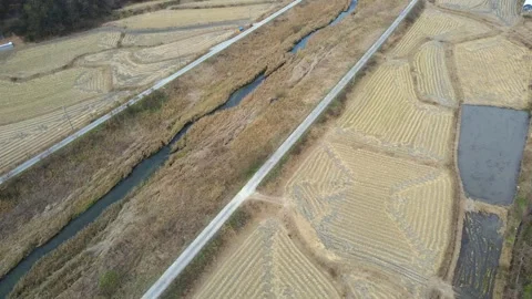 Rice Paddy Fields Located Along the Riverside Vídeos de archivo 334511235