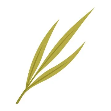Rice Paddy Leaves Illustration Vector Template Stock Illustration