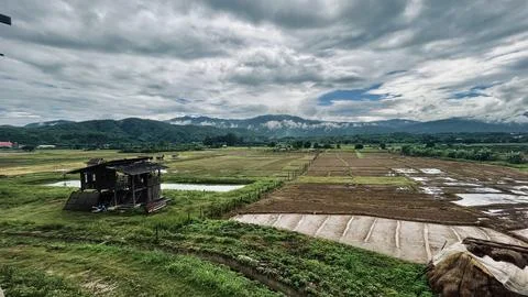 Rice paddy on mountain Stock Photos