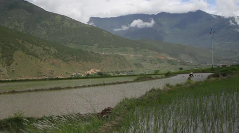Rice paddy in the mountains 스톡 동영상 37163034