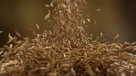 Rice paddy pouring slow motion.falling in the floor. Stock Footage 143579273