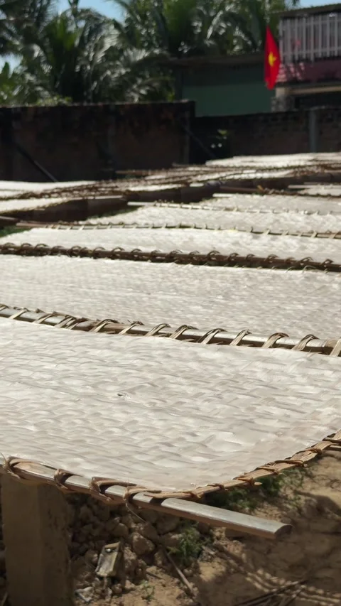Rice paper dries under sunlight on bamboo frames beside multiple trays in an 库存影片 329828806