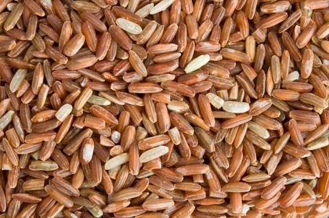 Rice Stock Photos