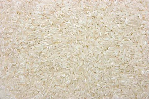 Rice Stock Photos