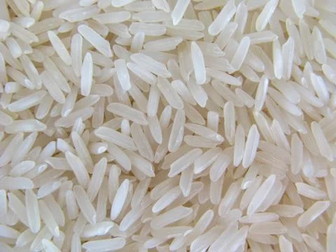 Rice Fotos Stock