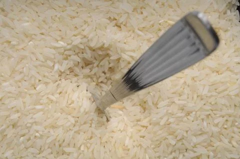 Rice Фото