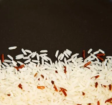Rice 库存照片