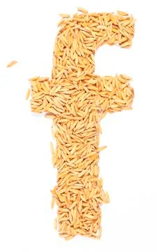 Rice Stock Photos