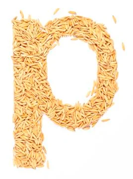 Rice Foto stock
