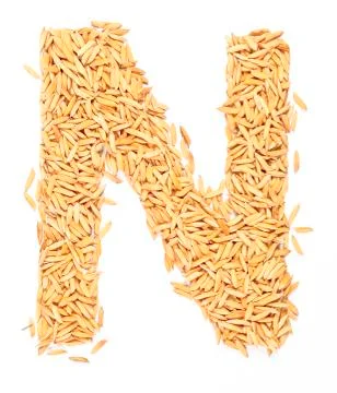 Rice Stock Photos