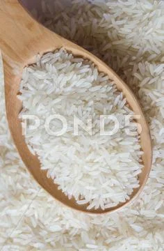 Rice Stock Photos