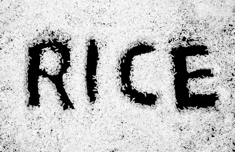 Rice Stock Photos