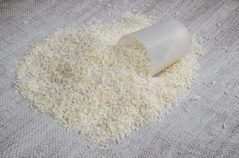 Rice Stock Photos
