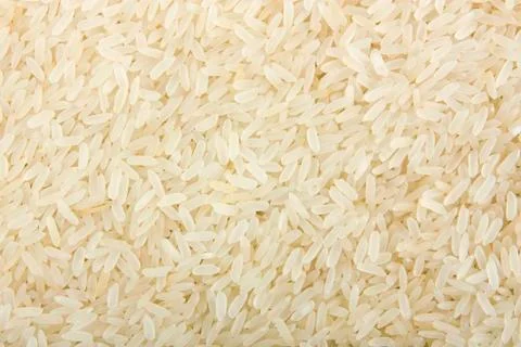 Rice Foto stock