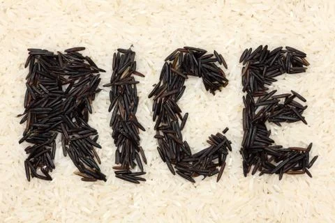 Rice Stock Photos