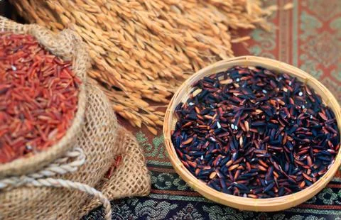 Rice Stock Photos