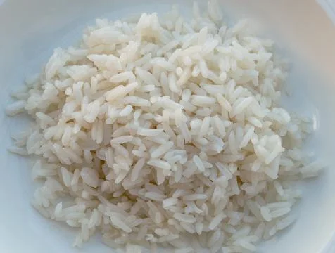 Rice 스톡 사진