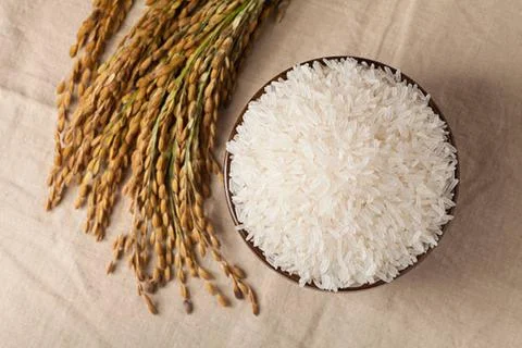 Rice Stock Photos