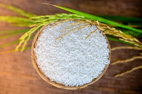 Rice Stock Photos