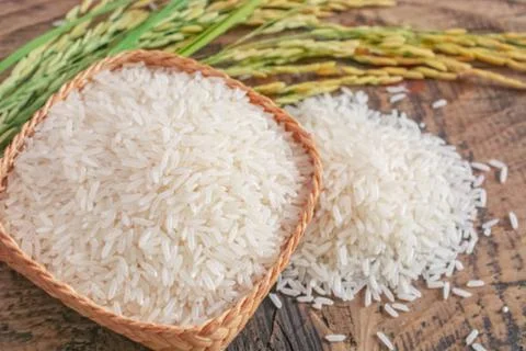 Rice Stock Photos