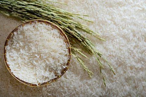 Rice Stock Photos