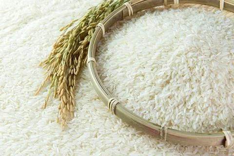 Rice Stock Photos