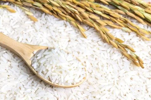 Rice Stock Photos